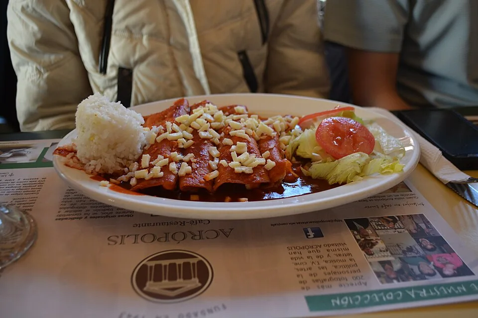 Enchiladas zacatecanas: Tortillas pasadas por salsa de chile, rellenas de queso y cebolla, plato callejero clásico de Zacatecas.