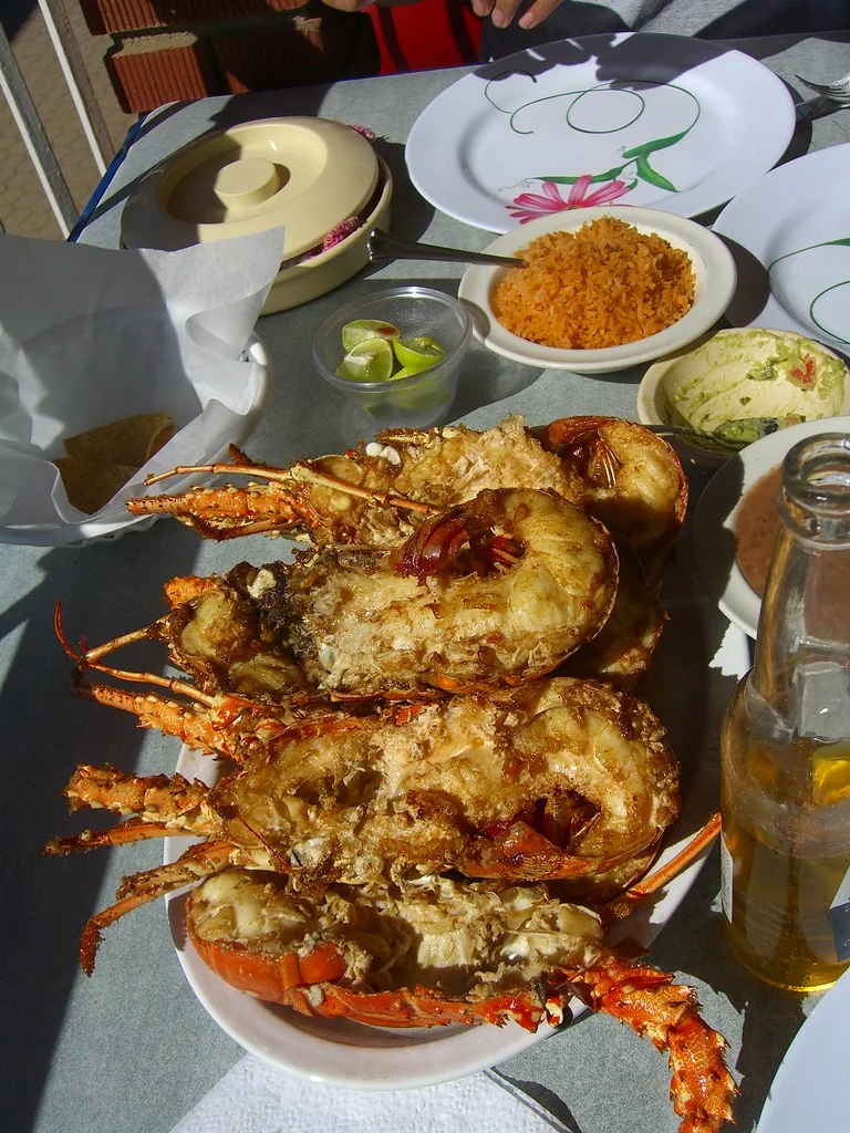 Langosta estilo Puerto Nuevo: Langosta partida y frita en manteca, servida con tortillas de harina, frijoles, arroz y mantequilla con limón.