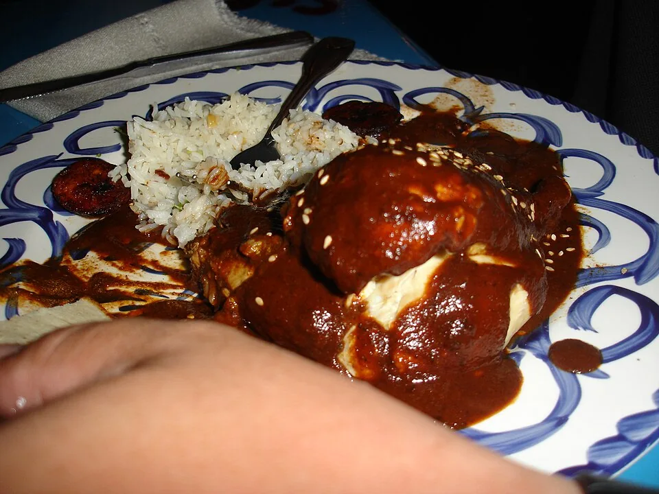 Mole poblano: Salsa espesa de chiles, especias, frutos secos y chocolate, servida sobre guajolote o pollo.